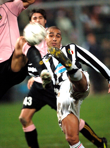 全运马术｜荣耀归来，广东马术三项赛再度封王的背后（全运马术丨广东马术三项赛再封王：荣耀背后的故事）